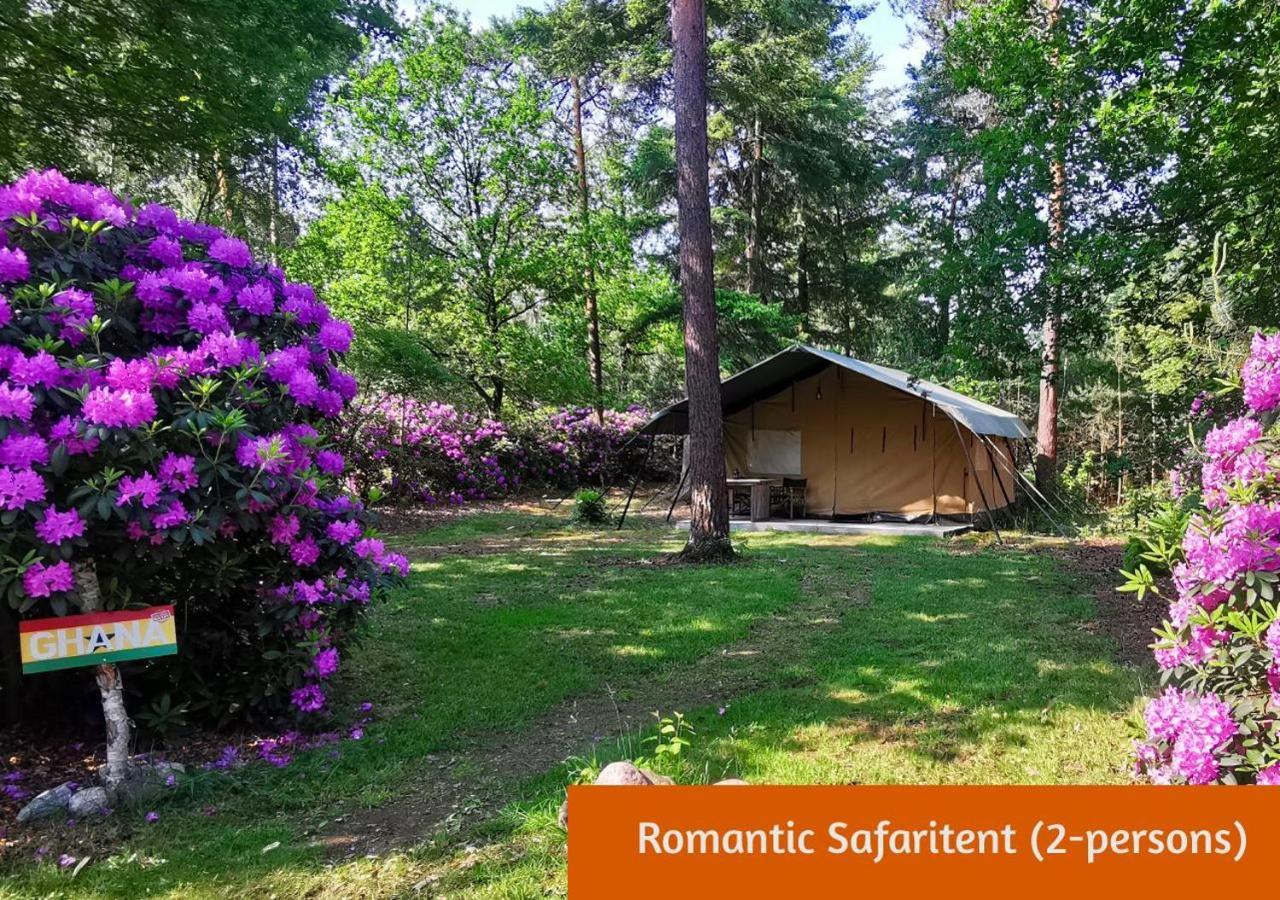 Glamping In Nature By Outdoors Holten Exterior photo
